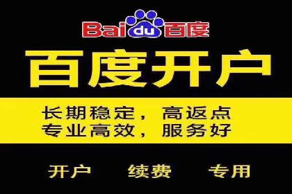 百度竞价代运营公司：如何选择合适的投放平台